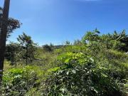 Terreno em Condomínio para Venda em Atibaia/SP Vila Dom...
