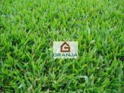 Terreno em Condomínio para Venda em Barueri/SP São...