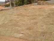 Terreno em Condomínio para Venda em Bofete, Portal Das...