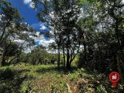 Terreno em Condomínio para Venda em Brumadinho/MG Aranha