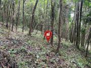 Terreno em Condomínio para Venda em Brumadinho/MG Casa...