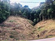 Terreno em Condomínio para Venda em Brumadinho/MG Retiro...