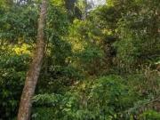 Terreno em Condomínio para Venda em Caieiras/SP Parque Suiça