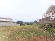 Terreno em Condomínio para Venda em Campinas/SP Chácara...