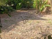 Terreno em Condomínio para Venda em Campinas/SP Parque...