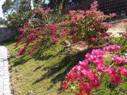 Terreno em Condomínio para Venda em Campinas/SP Sousas