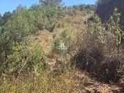 Terreno em Condomínio para Venda em Campo Limpo...