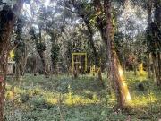 Terreno em Condomínio para Venda em Cananéia/SP Reserva...