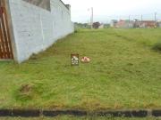 Terreno em Condomínio para Venda em Caraguatatuba/SP...