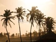 Terreno em Condomínio para Venda em Caucaia/CE Catuana Terreno em Condomínio para Venda em Caucaia/CE Catuana