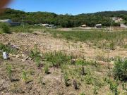 Terreno em Condomínio para Venda em Caxias do Sul/RS São...
