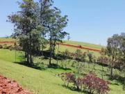 Terreno em Condomínio para Venda em Cotia/SP Centro...