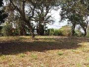 Terreno em Condomínio para Venda em Cotia/SP Granja Viana