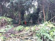 Terreno em Condomínio para Venda em Cotia/SP Granja Viana