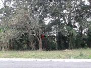 Terreno em Condomínio para Venda em Cotia/SP Granja Viana