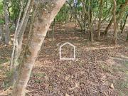 Terreno em Condomínio para Venda em Cotia/SP Granja Viana