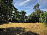 Terreno em Condomínio para Venda em Cotia/SP Granja Viana