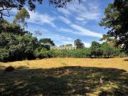 Terreno em Condomínio para Venda em Cotia/SP Granja Viana