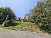 Terreno em Condomínio para Venda em Cotia/SP Jardim Atalaia