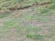 Terreno em Condomínio para Venda em Cotia/SP Jardim Atalaia Terreno em Condomínio para Venda em Cotia/SP Jardim Atalaia