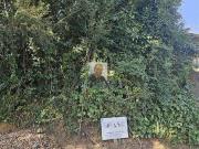Terreno em Condomínio para Venda em Cotia/SP Jardim Atalaia