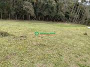 Terreno em Condomínio para Venda em Cotia/SP Portal do...