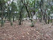 Terreno em Condomínio para Venda em Cotia/SP Vila de São...