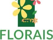 Terreno em Condomínio para Venda em Cuiabá/MT Ribeirão...