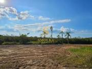Terreno em Condomínio para Venda em Florianópolis/SC Ratones