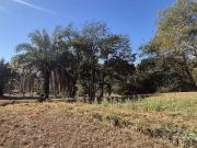 Terreno em Condomínio para Venda em Goiânia/GO...