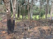 Terreno em Condomínio para Venda em Ibiúna/SP Morro Grande