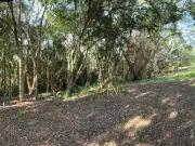 Terreno em Condomínio para Venda em Ibiúna/SP Parurú