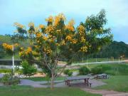 Terreno em Condomínio para Venda em Itatiba/SP Bairro...