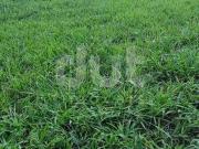 Terreno em Condomínio para Venda em Itatiba/SP...