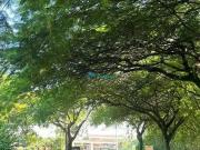 Terreno em Condomínio para Venda em Itupeva/SP Parque...