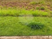 Terreno em Condomínio para Venda em Itupeva/SP Rio Abaixo