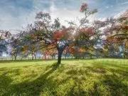 Terreno em Condomínio para Venda em Jaguariúna/SP...