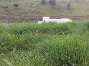 Terreno em Condomínio para Venda em Jambeiro/SP Fazenda...