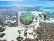 Terreno em Condomínio para Venda em Japaratinga/AL Centro