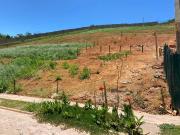 Terreno em Condomínio para Venda em Juiz de Fora/MG Vina...