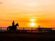 Terreno em Condomínio para Venda em Jundiaí/SP Caxambu