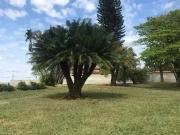 Terreno em Condomínio para Venda em Limeira/SP...