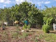 Terreno em Condomínio para Venda em Londrina/PR Conjunto...