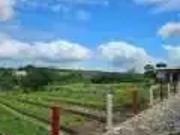 Terreno em Condomínio para Venda em Macaíba/RN Zona Rural