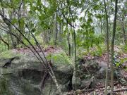 Terreno em Condomínio para Venda em Mairiporã/SP Caraguatá