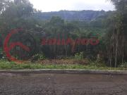 Terreno em Condomínio para Venda em Mairiporã/SP Jardim...