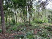 Terreno em Condomínio para Venda em Mairiporã/SP Rio Abaixo