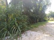 Terreno em Condomínio para Venda em Mairiporã/SP Sausalito