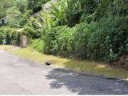 Terreno em Condomínio para Venda em Mairiporã/SP Serra...