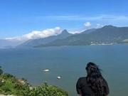 Terreno em Condomínio para Venda em Mangaratiba/RJ Praia...